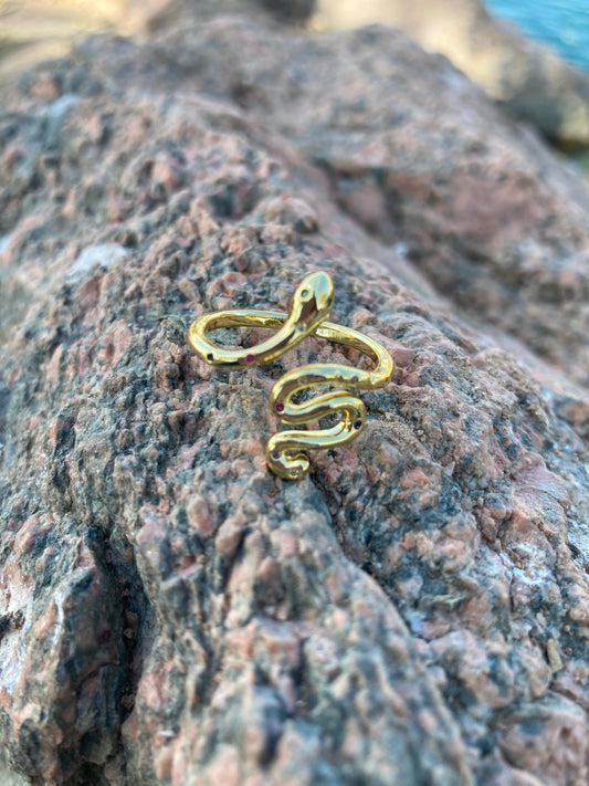 Little Dragon ring
