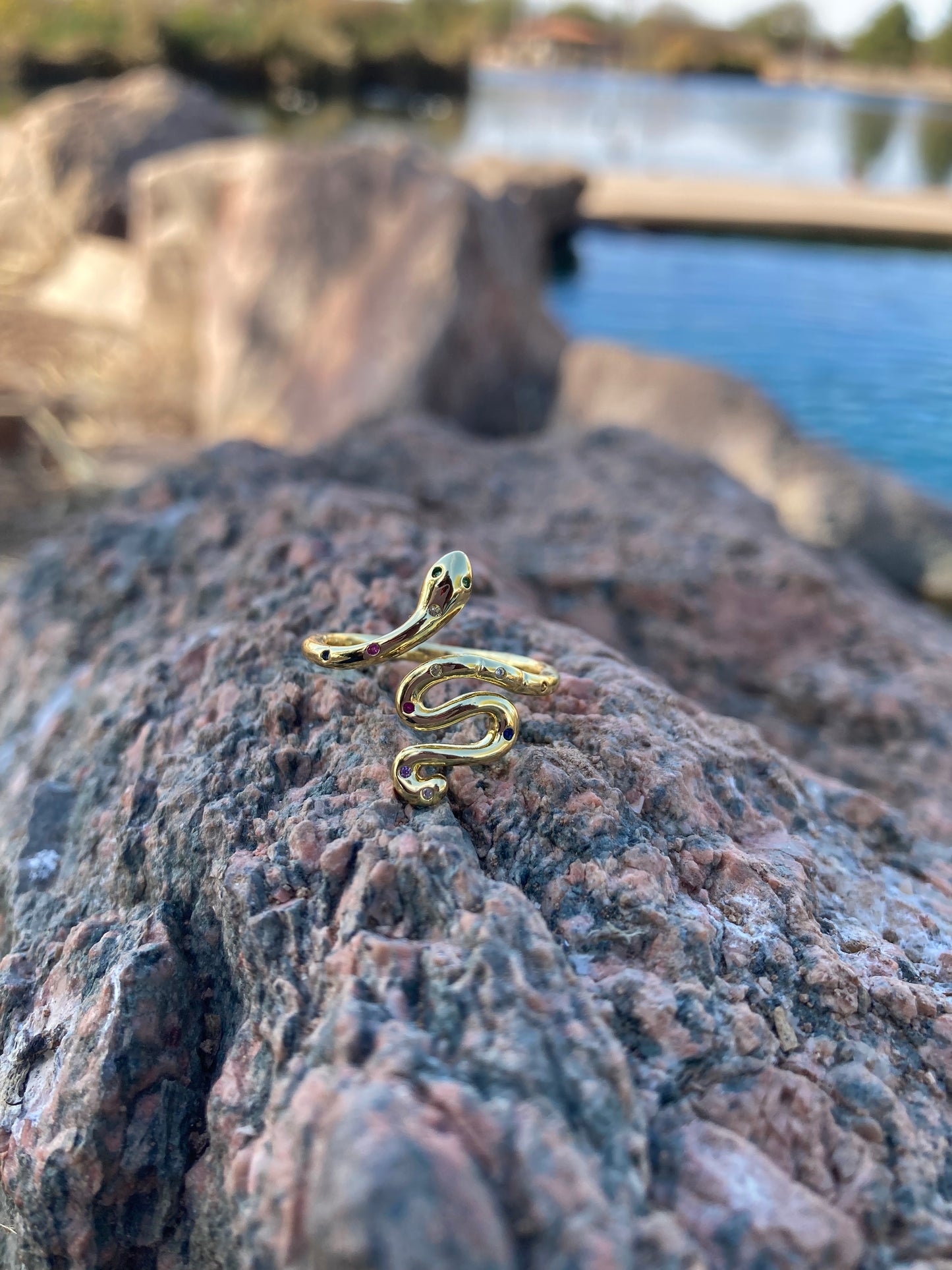 Little Dragon ring